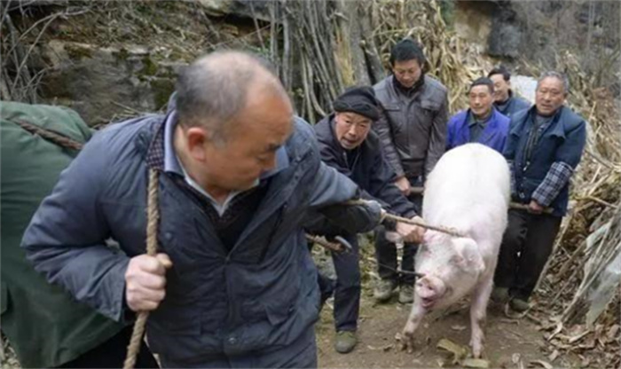 河北出现北齐皇帝古墓 成为了一个考古奇迹（皇帝古墓