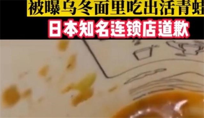 乌冬面里吃出活青蛙 日连锁店道歉 顾客吃完面才发现