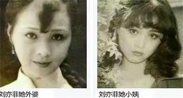 看了老照片才发现 刘亦菲那句  “全家几口，就我最丑”没骗人