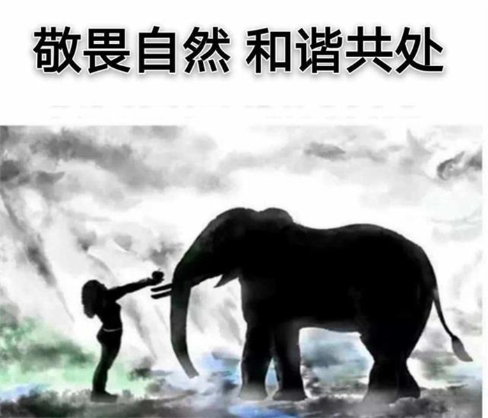 我们要深怀对自然的敬畏之心 生物多样性让地球充满生机