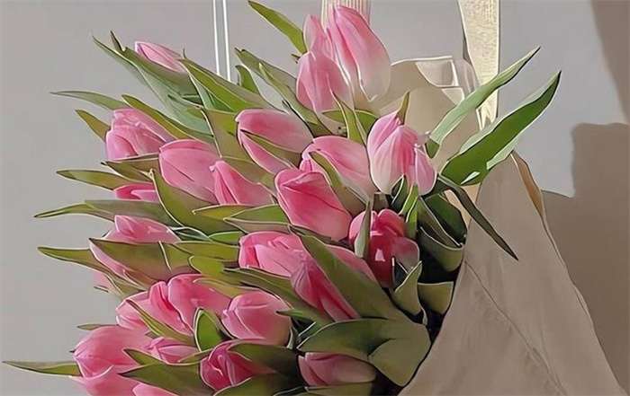 爱上金牛座，需要学习相处的规则吗？
