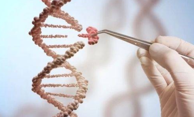 人类个体如何永生或者接近于永生？ 或延年益寿的方式