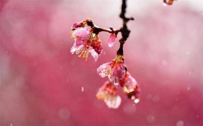 7月3日-7月29日鸿运当头，财源滚滚如流水进口袋，钱途无量的生肖