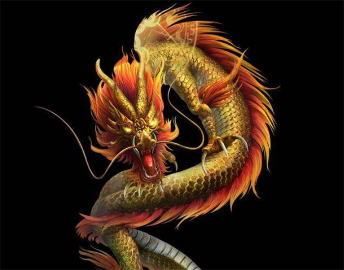 只有中国才有龙 其实世界各地都有龙的传说 大多发源中国