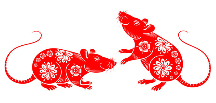 未来一个月  桃花无限 大运迎面来袭的3大生肖