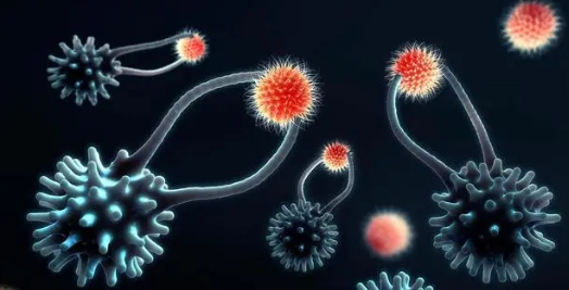 231亿公里外，飞船传回的照片，科学家：人类绝不是唯一生命