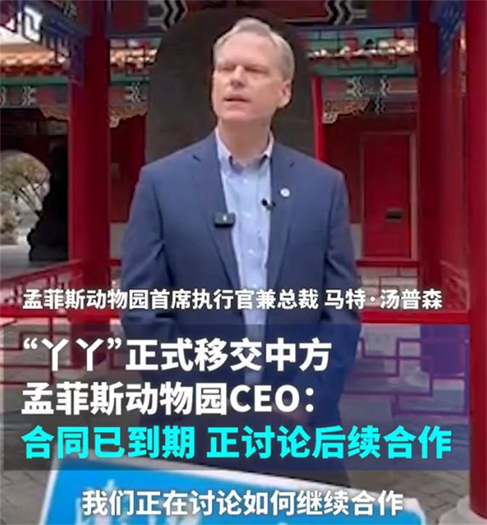 孟非斯动物园的大熊猫丫丫 已经正式移交中方（大熊猫）