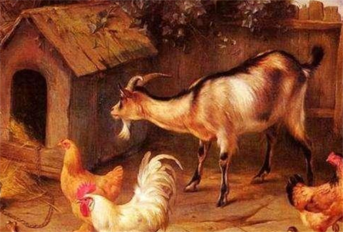 古代俗语男怕属鸡 女怕属羊什么意思 （有不好的事）
