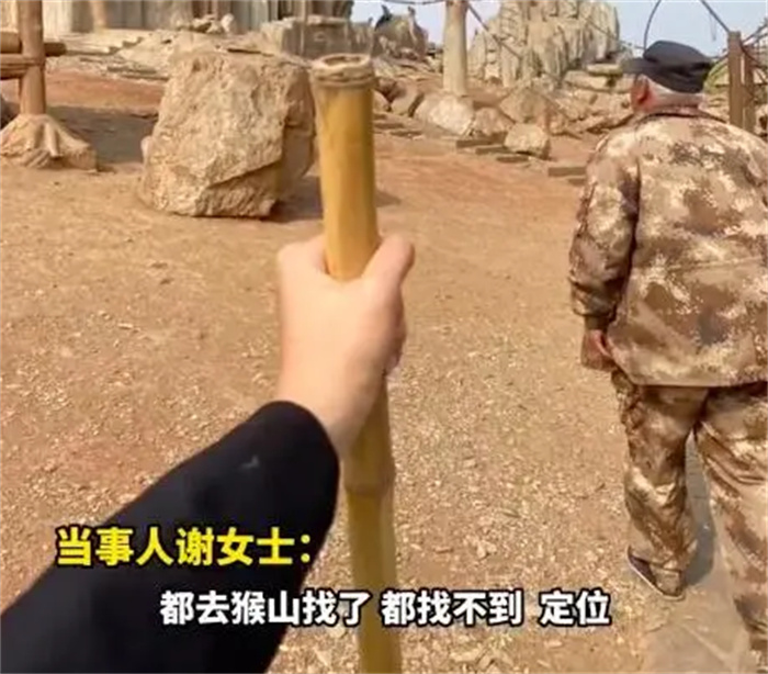 猴子抢走游客手机 居然还打电话（猴子灵性）