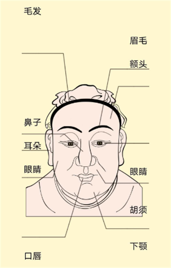 面相是如何看出来的 面相都是看的什么部位（庭眼鼻颌）
