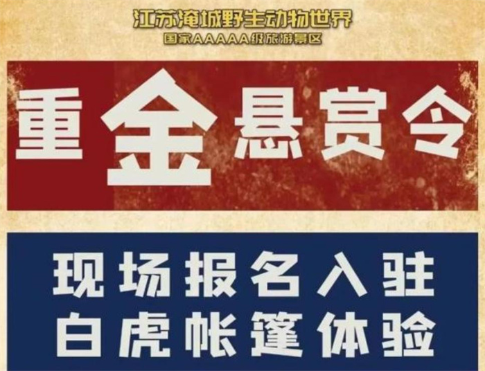 和老虎同住一小时奖励10万 动物园做出回应（与虎同行）