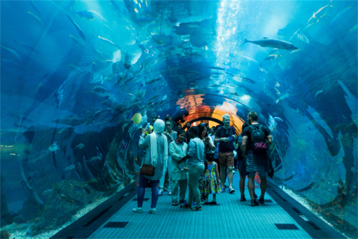 世界第一大的水族馆 乔治亚水族馆(有3000多种鱼类)