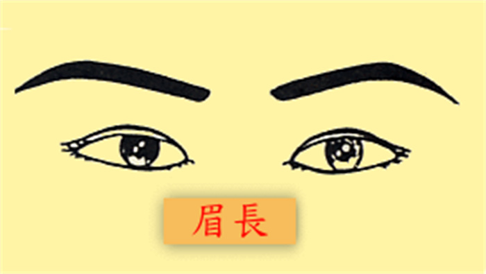 眉长于眼的男人命运如何 眉毛长的人运势好吗（不好）
