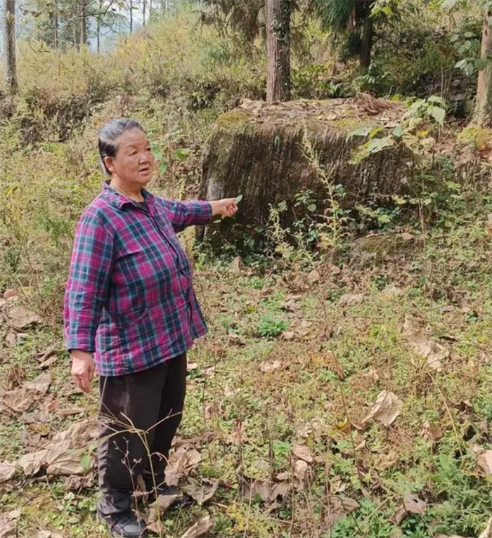孕妇被拐卖到河北 儿子成年后追责人贩子（人口贩卖）