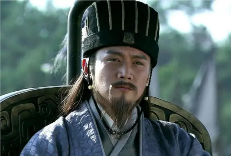 诸葛亮放了个该杀的小人 杀了个该放的大将  （2大失误）