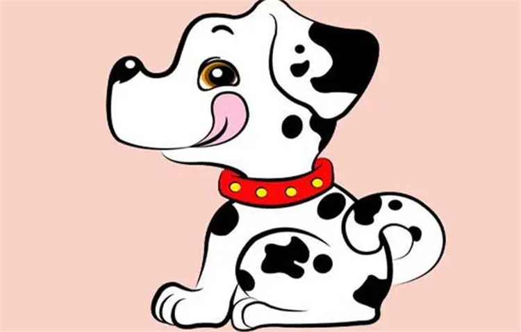 不喜欢交际的生肖 什么生肖有自己的精神世界（狗猪蛇）