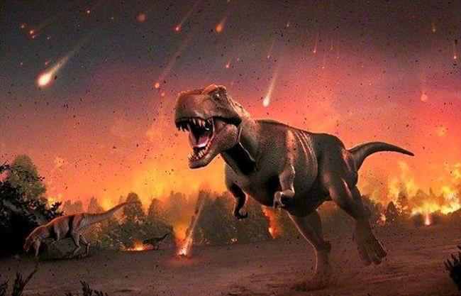 迹象表明 地球目前正经历第六次生物大灭绝（需要重视）