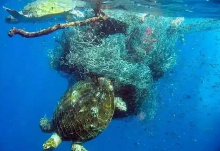 6km的深海发现神秘物体 被称之为人类耻辱（深海发现）
