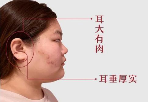 猪耳的男人是一辈子穷命吗猪耳的运势怎么样（不好）