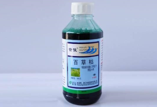河北少女自杀喝下百草枯 为啥到现在还不禁止售卖？（杀人农药）