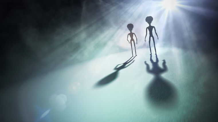 外星混血儿被曝光 难道外星人在地球有传承（外星人传承）