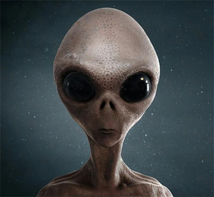 农民赵国孟接触外星人 是真话还是谎言（接触外星人）