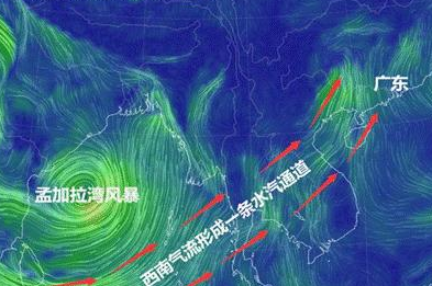 广东明年或遭遇最强降雨，我们该如何做好防范措施？（异常天气）