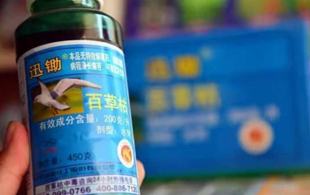 河北少女遭姐夫投毒，为什么还是会发生这种事情？（投毒案例）