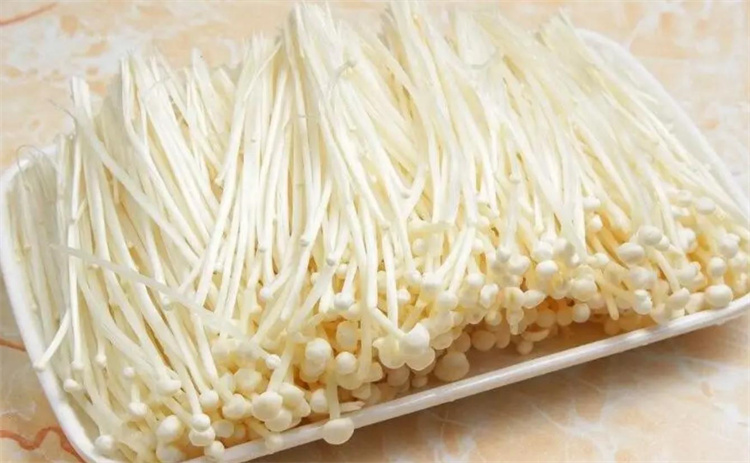 金针菇，明天见！为什么吃金针菇后，第二天能看见完整的金针菇？