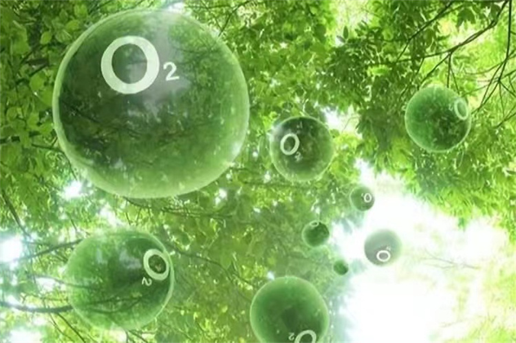 外星生物进化到一定程度后，根本不需要呼吸，之前地球已有先例
