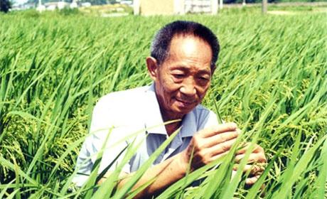 杂交技术再次升级，世界上第1个猪猴生物诞生(科学进步）