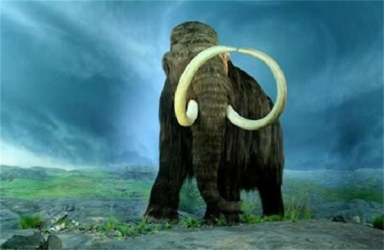 灭绝了84年后，这种生物再次现身，我国也发现复活的生物