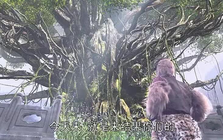 孙悟空推倒人参果树后，为何不第一时间找观音 而去找其它神仙