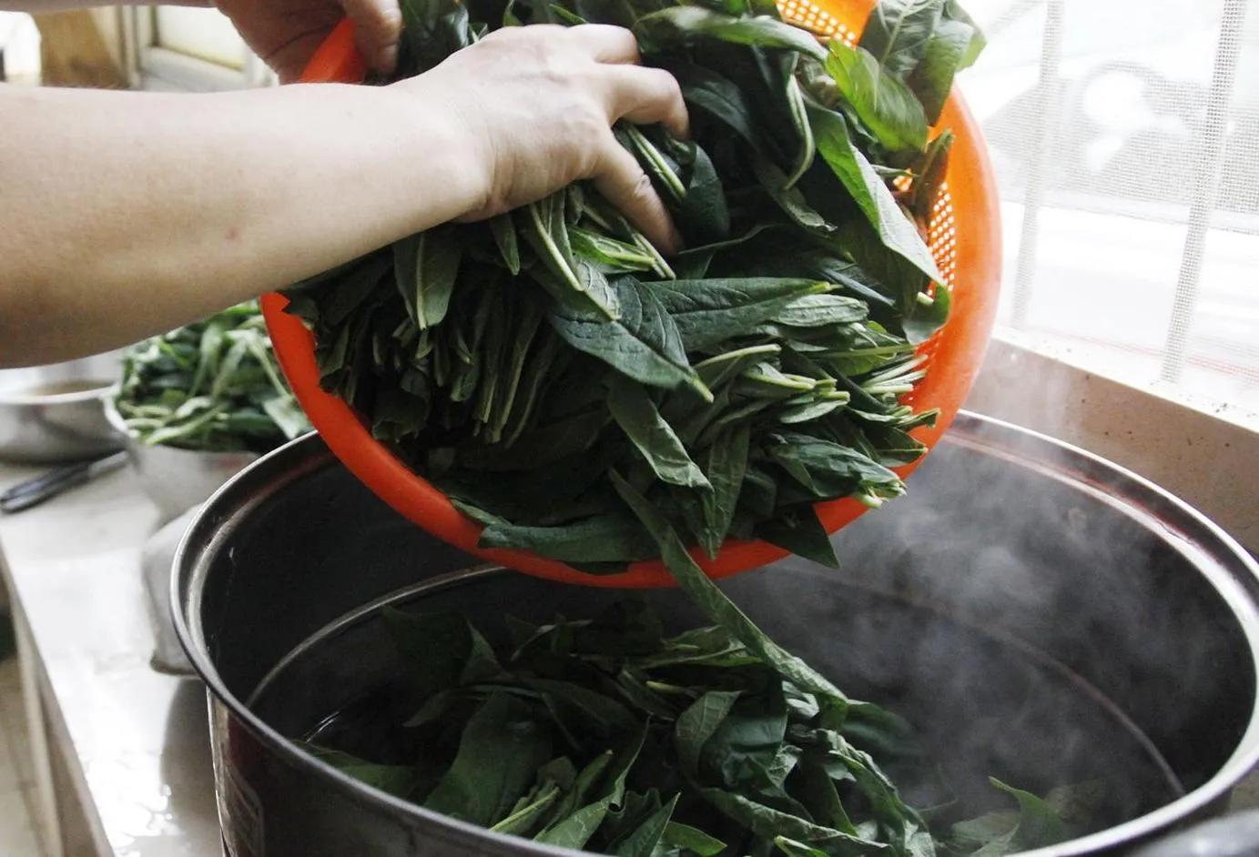 被忽视的农村极品野菜，晒干了可以卖到70元一斤（芝麻叶）