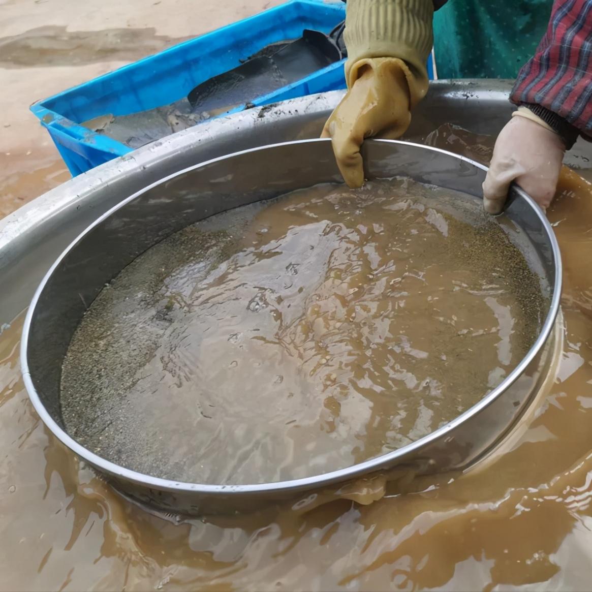 撸铁棒再现黄河，会有多大危害（河底淘铁）