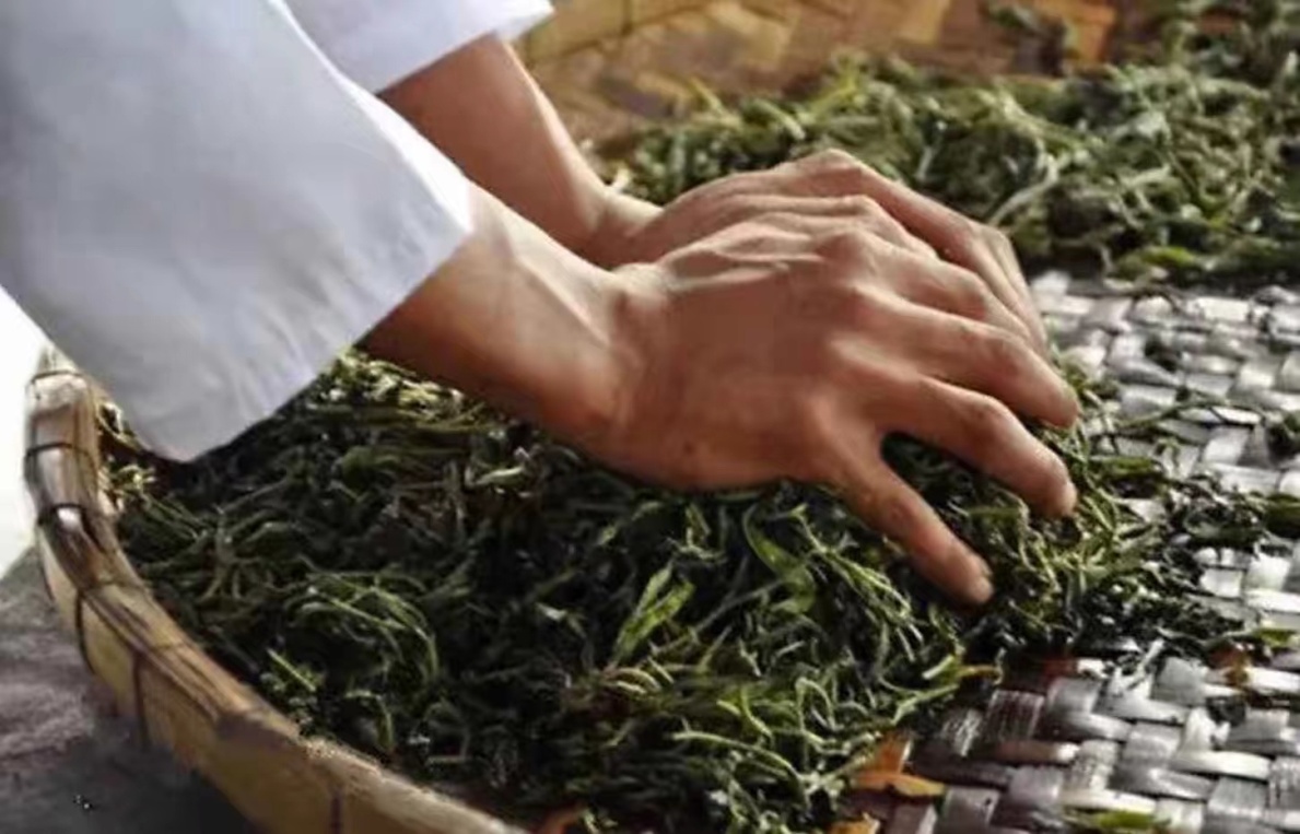1克熟茶5亿霉菌，据说喝熟茶等于喝脏水？耐心看完普洱熟茶制作