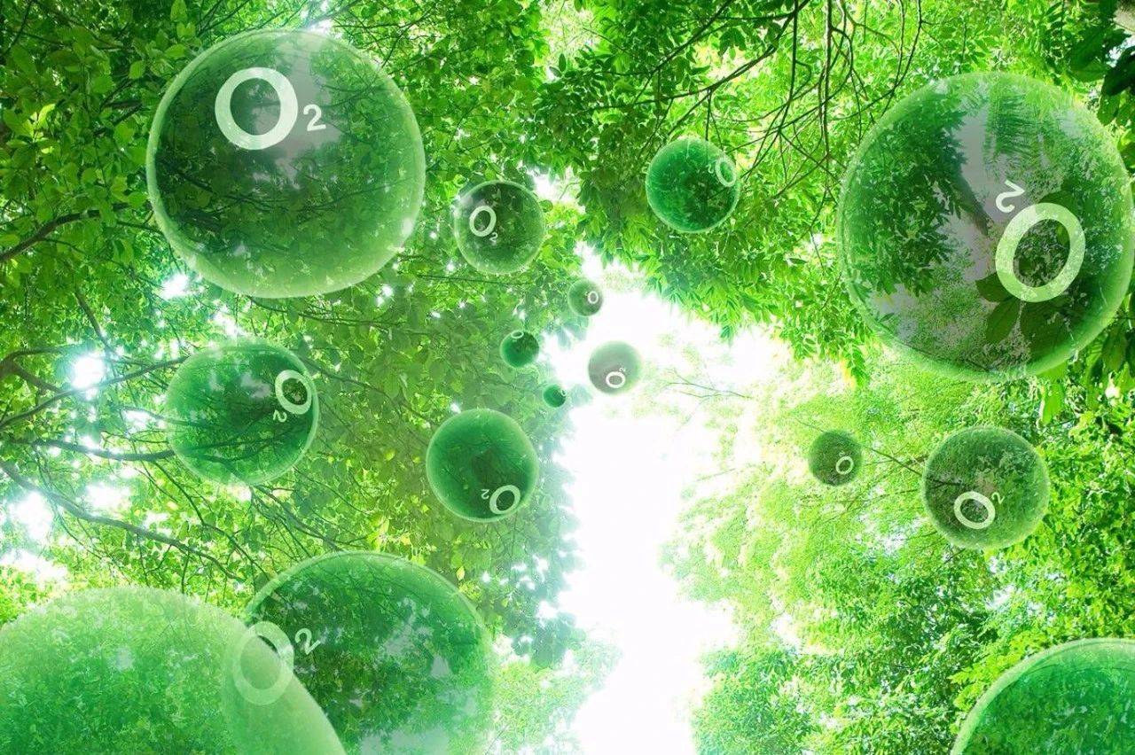 随时都要呼吸的氧气，居然被认定是毒药（慢性毒药）