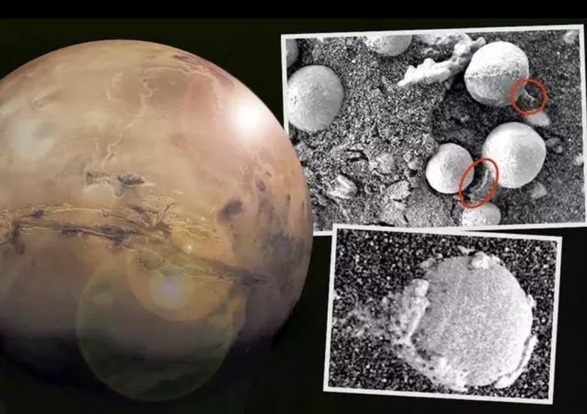 将蓝藻带上火星，火星就可以地球化，它们曾经改变过地球