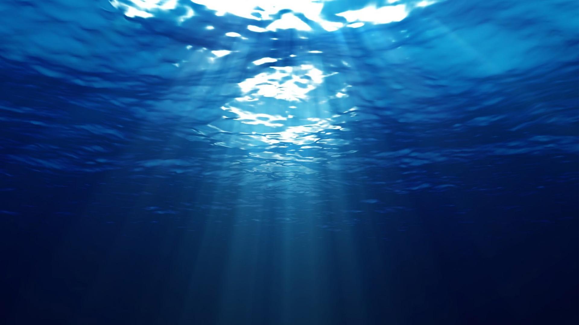 海洋发现数十万中病毒，科学家估计这只是冰山一角（海洋世界）