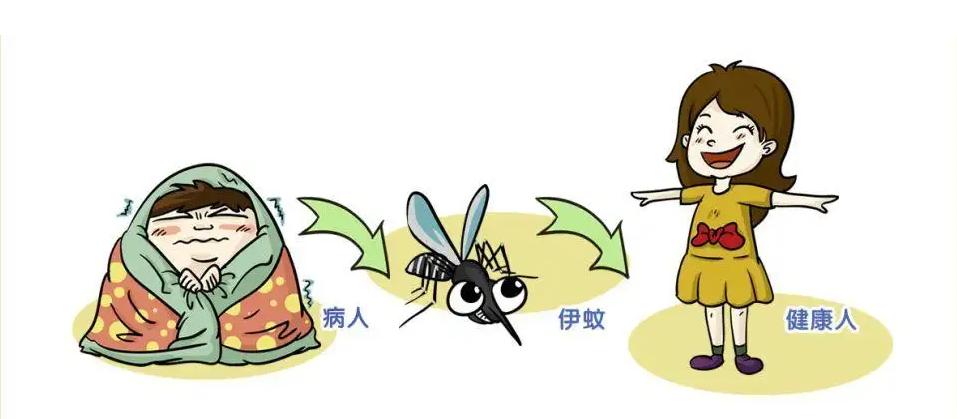 流行性乙型脑炎病毒来袭，通过蚊虫传播，澳大利亚出现死亡病例