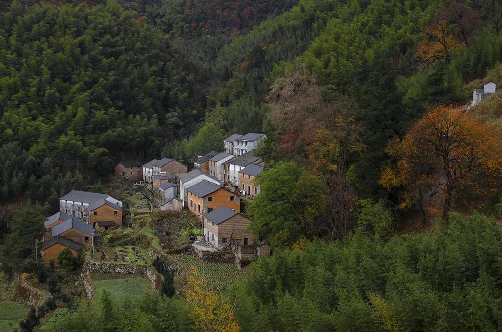 云南苍山有13人失踪，多支救援队展开拯救，在深山迷路会怎么样。