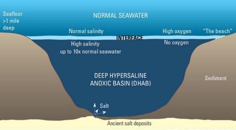 海里都是水，海底还会存在湖泊吗？ （盐类沉淀物）