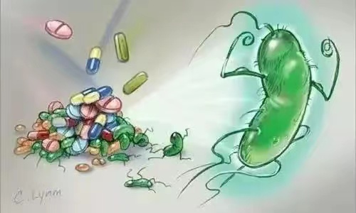 耐药性令人头疼，如果不去消灭细菌，细菌不会产生耐药性了？