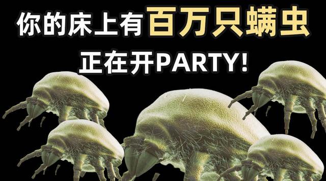 尘螨会危及人类生命？一个卧室就有200万个，如何根除？