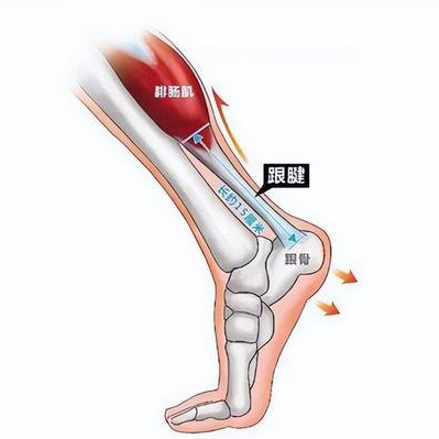 人类最恐惧的疼痛，疼痛等级超出了人类承受极限！你经历过吗
