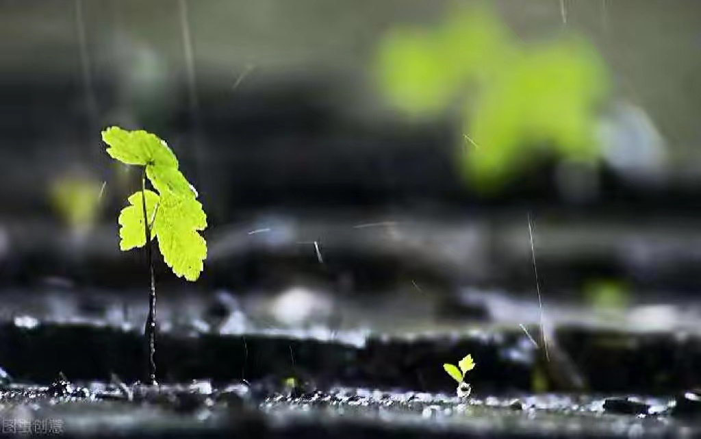 为什么一到下雨天，人就会睡得特别舒服，科学来揭秘睡觉的奥秘！