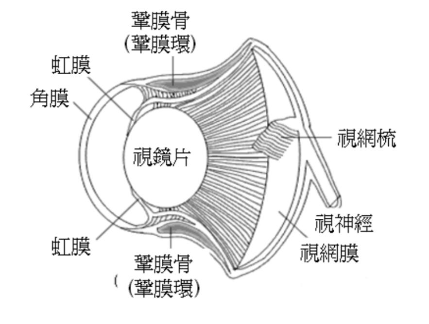 地球上最水火不容的生物是啥？仇怨长达3600万年，谁能笑到最后