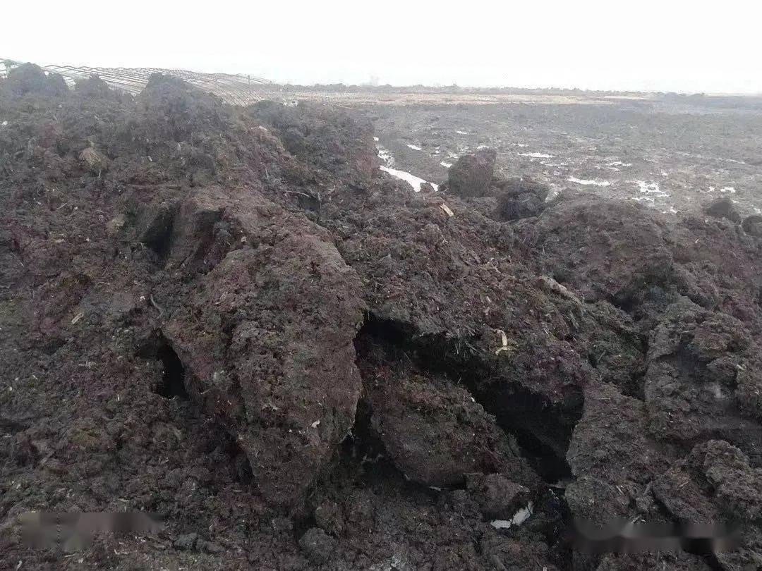 北极泥炭火在-50℃中燃烧，重要能源烧没了（泥煤）