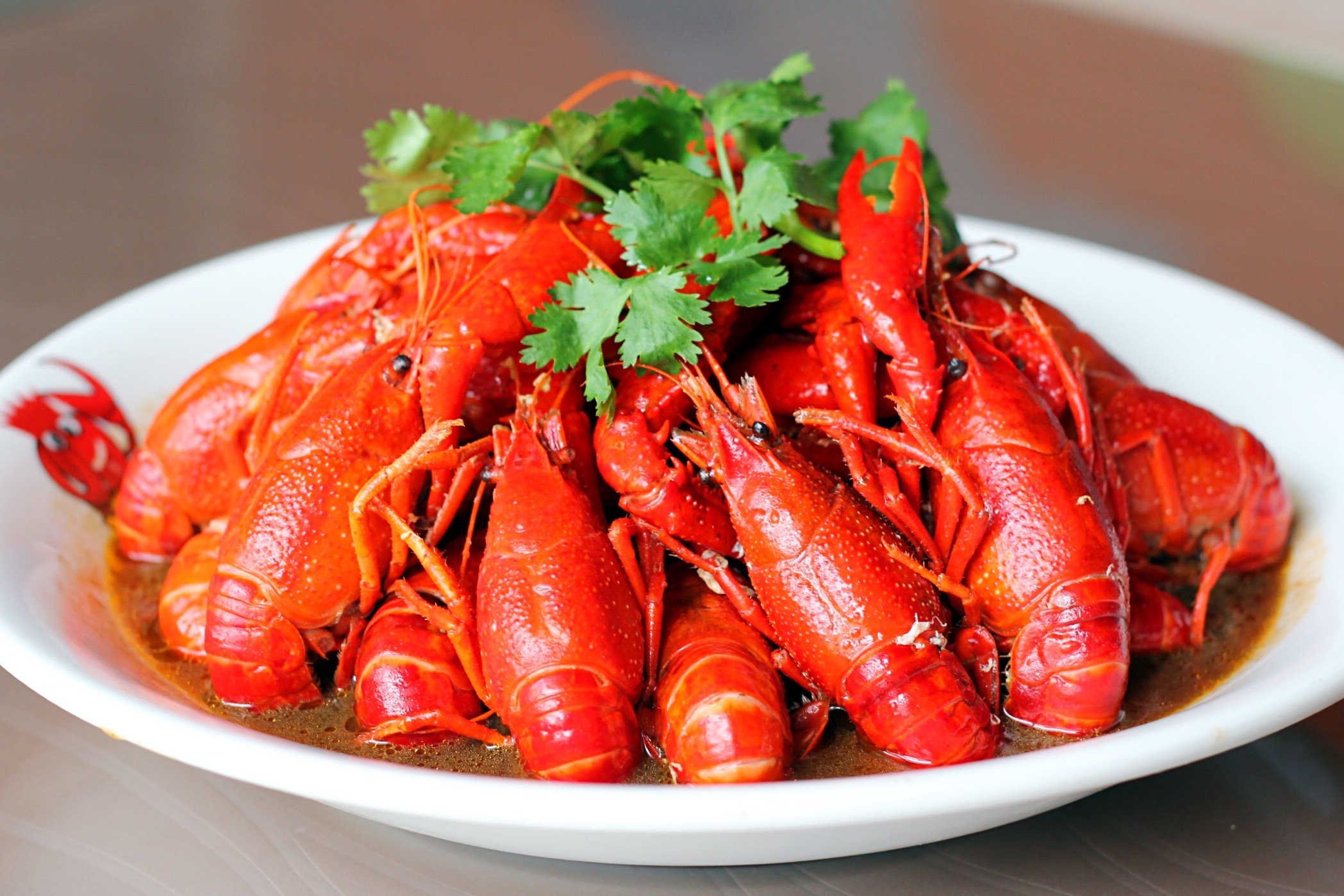 我国从澳洲引进特大龙虾，未来可能取代小龙虾（外来食物）