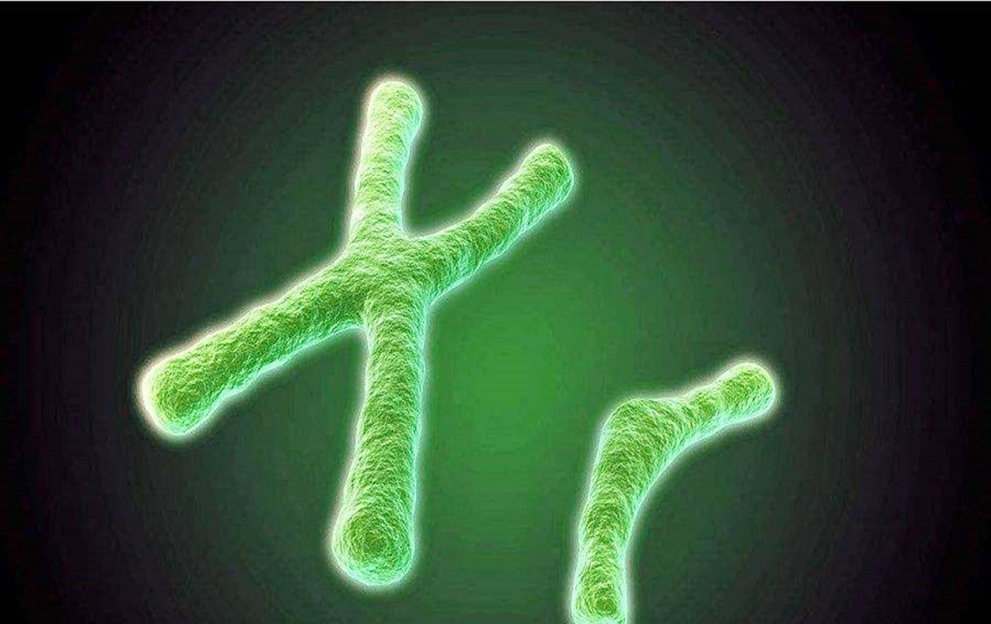 男性没有女性长寿有科学解释了？（染色体毒性）